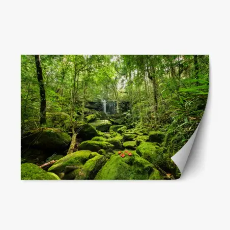 Adesivo riposizionabile oasi di muschio e cascata nella foresta pluviale • Wallissimo®