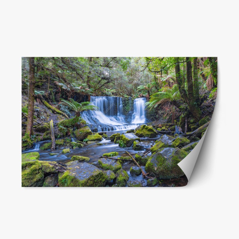 Adesivo riposizionabile cascata tra le felci nella foresta