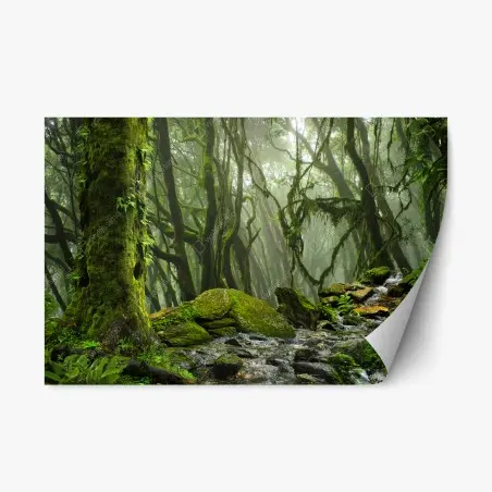 Adesivo riposizionabile foresta incantata di muschio e nebbia • Wallissimo®