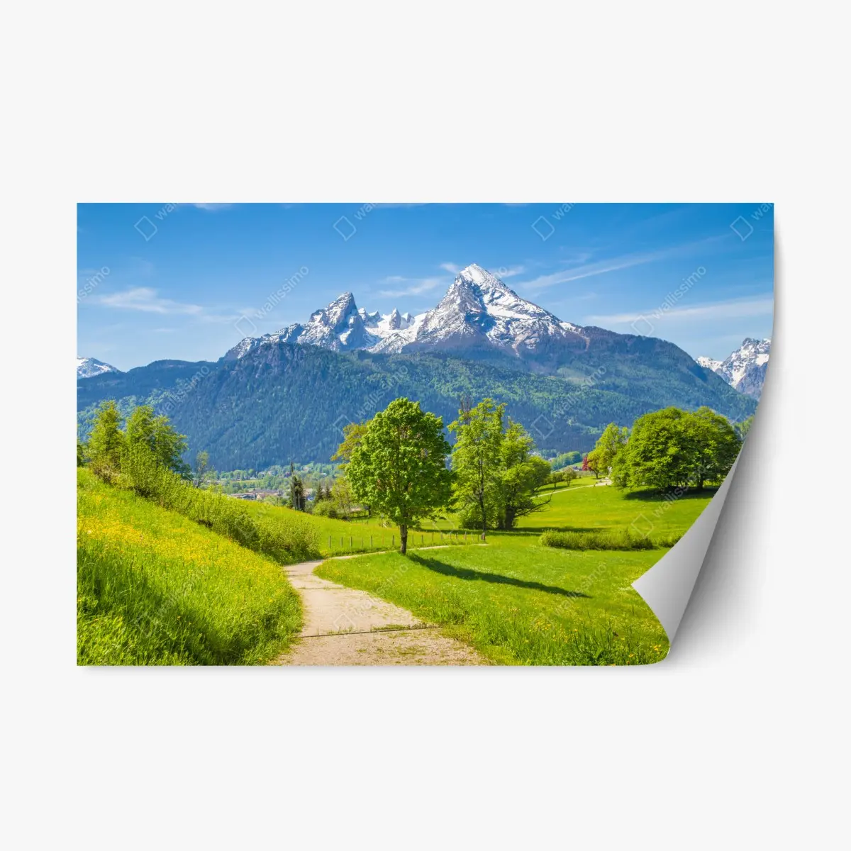 Adesivo riposizionabile paesaggio alpino primaverile con montagne innevate • Wallissimo®