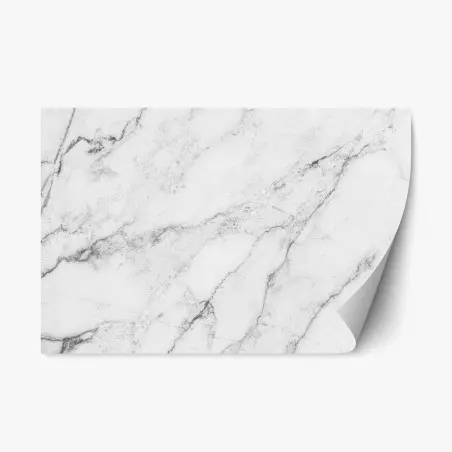 Adesivo riposizionabile marmo bianco elegante con venature naturali • Wallissimo®