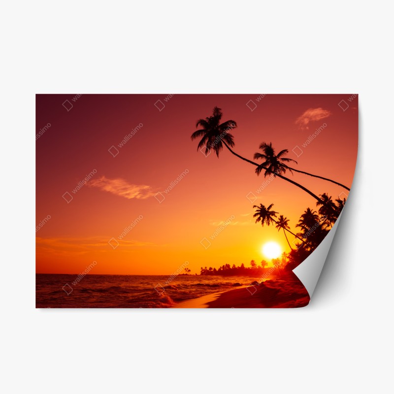Adesivo riposizionabile tramonto tropicale con palme in silhouette