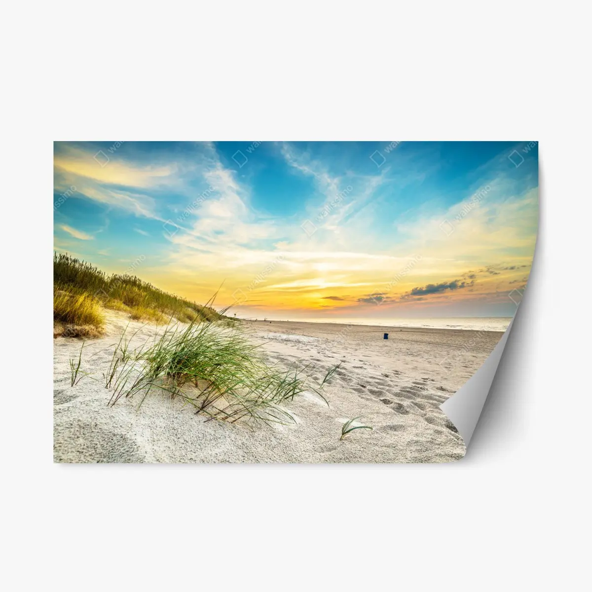 Adesivo riposizionabile tramonto sulla spiaggia con dune e erba marina • Wallissimo®