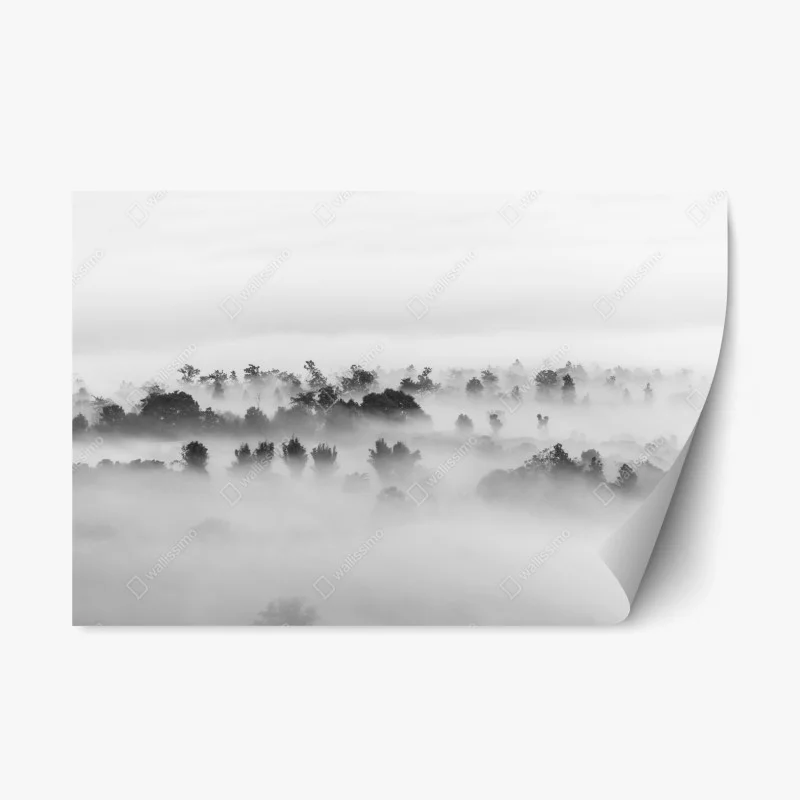 Adesivo riposizionabile mare di nuvole sulla foresta - minimalismo in bianco e nero
