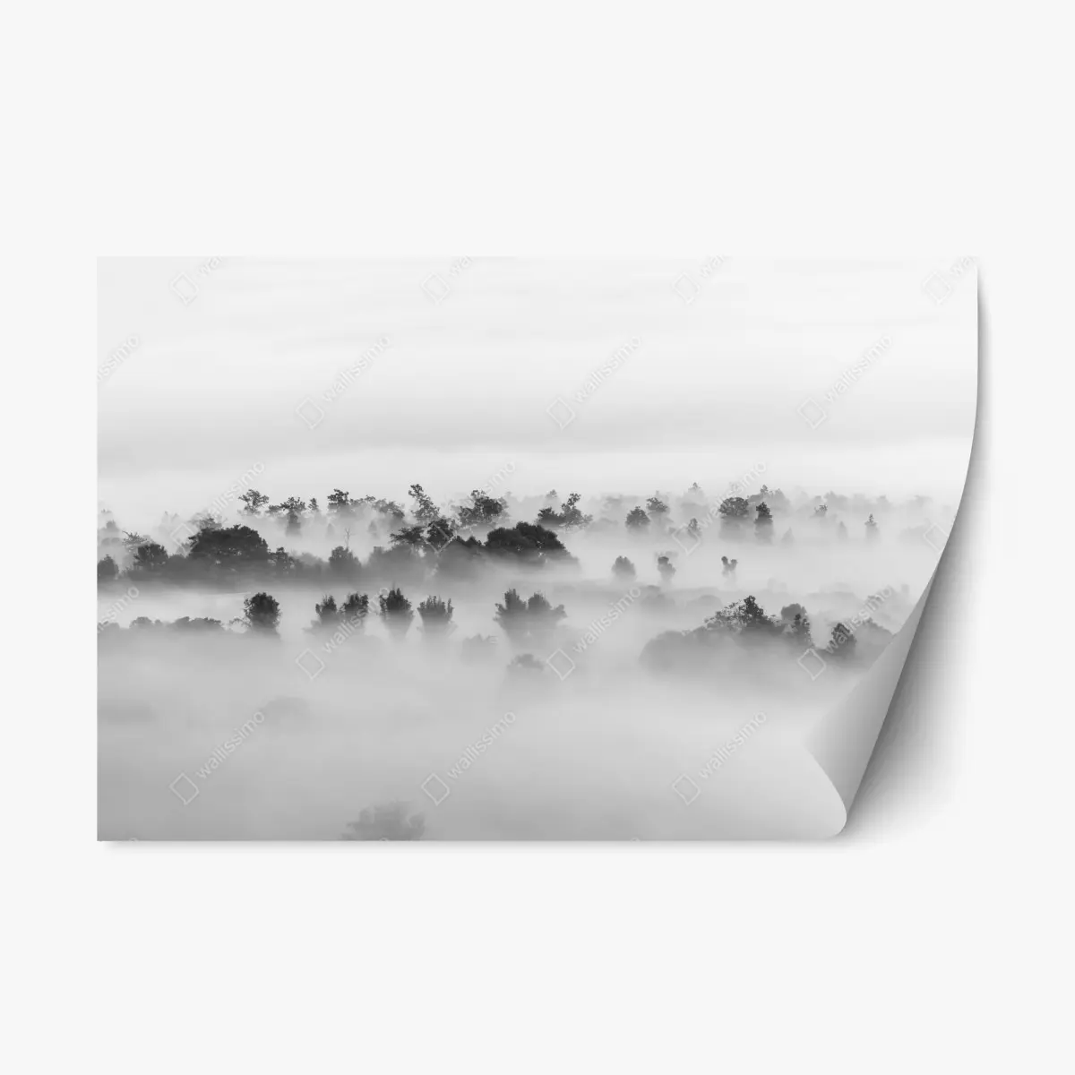 Adesivo riposizionabile mare di nuvole sulla foresta - minimalismo in bianco e nero • Wallissimo®