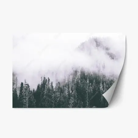 Adesivo riposizionabile bosco avvolto nella nebbia • Wallissimo®