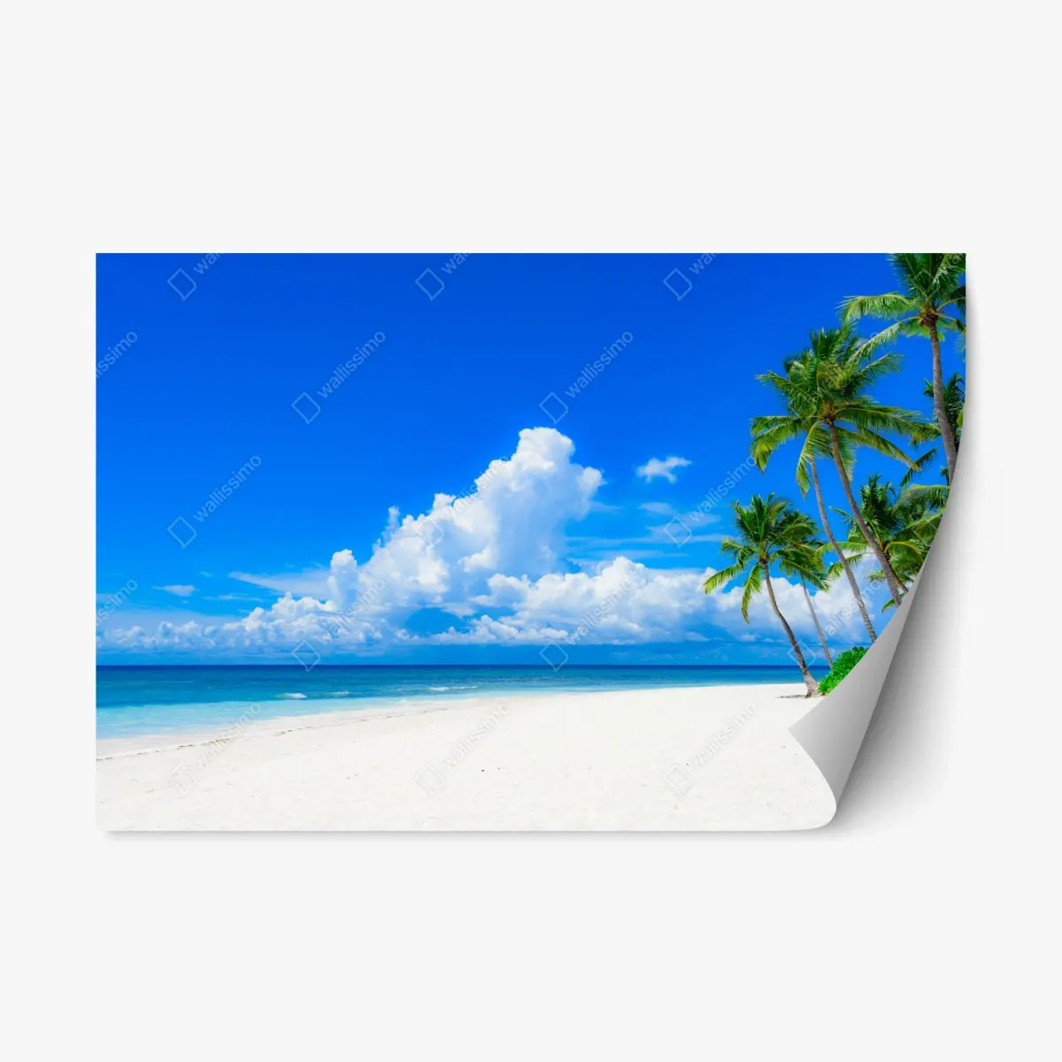 Adesivo riposizionabile paradiso tropicale con palme e sabbia bianca • Wallissimo®