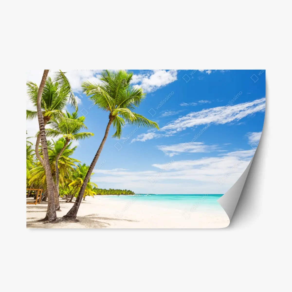 Adesivo riposizionabile paradiso tropicale di Punta Cana • Wallissimo®