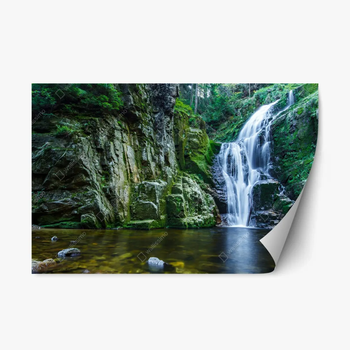 Adesivo riposizionabile cascata di Kamienczyk nel cuore del bosco • Wallissimo®