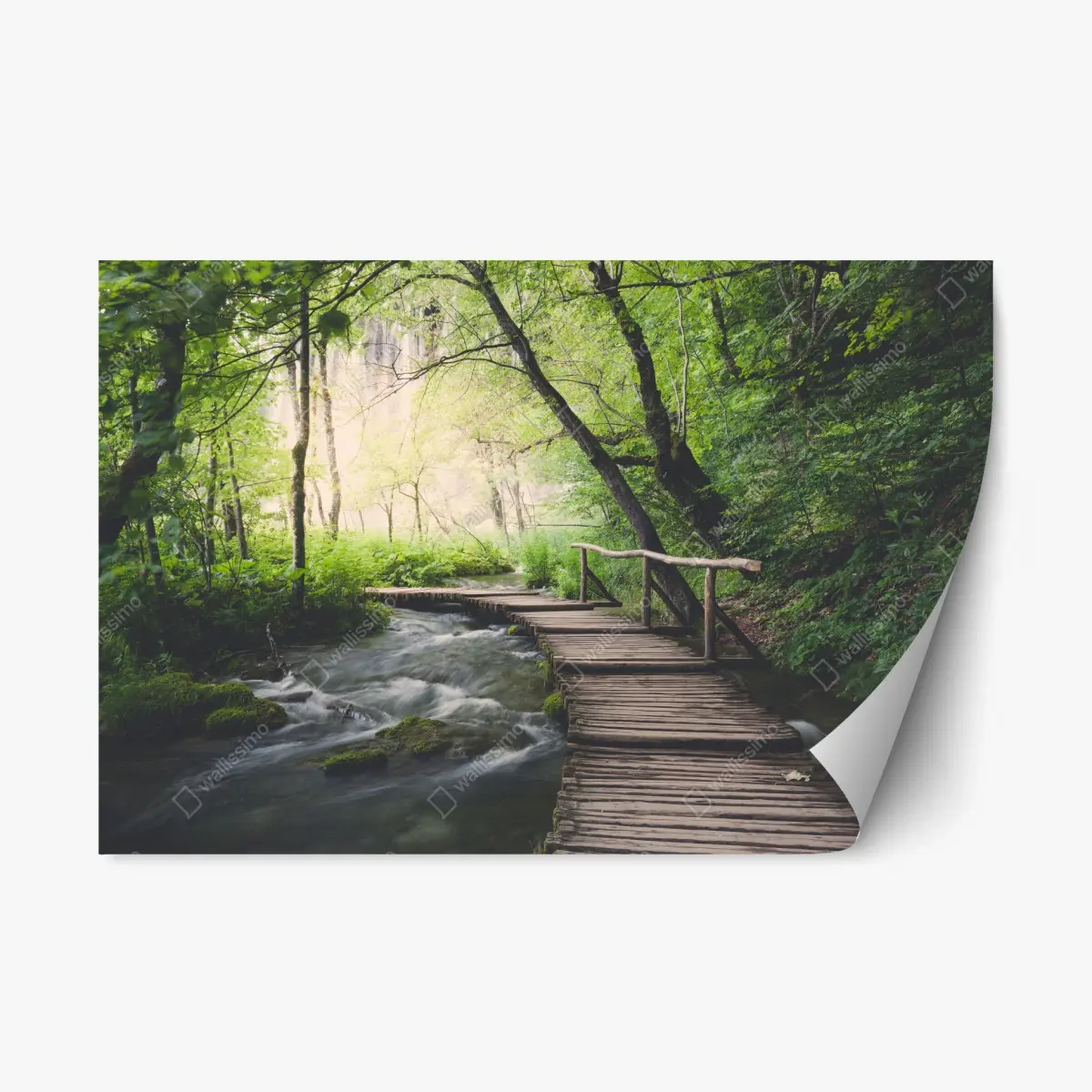 Adesivo riposizionabile sentiero di legno sulle acque del bosco • Wallissimo®