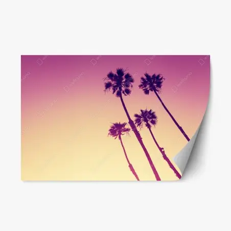 Adesivo riposizionabile tramonto californiano con palme di San Diego • Wallissimo®