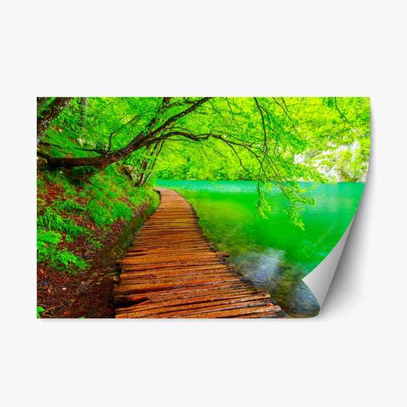 Adesivo riposizionabile percorso in legno lungo il lago verde