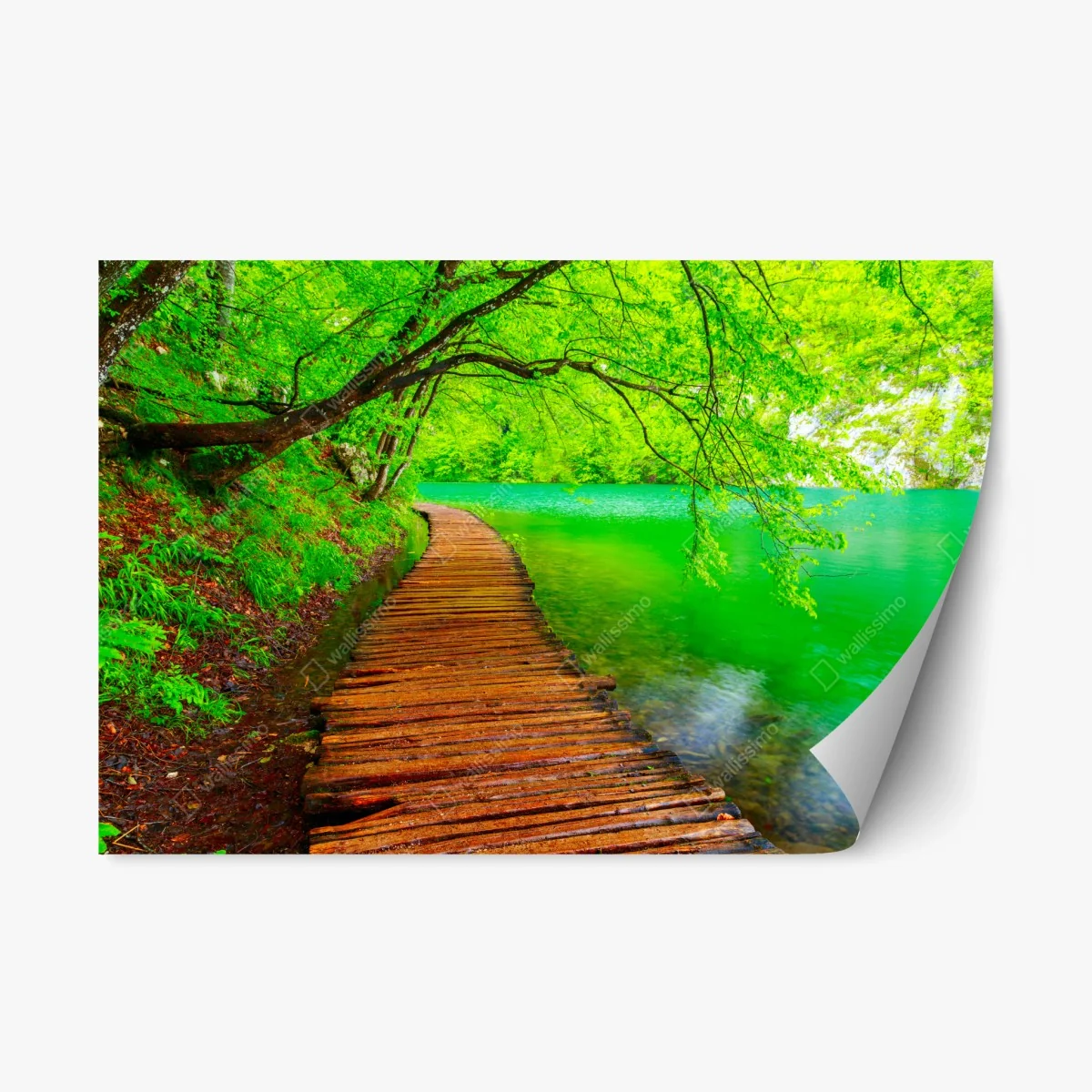 Adesivo riposizionabile percorso in legno lungo il lago verde • Wallissimo® Adesivo riposizionabile percorso in legno lungo il lago verde • Wallissimo®