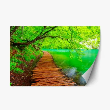 Adesivo riposizionabile percorso in legno lungo il lago verde • Wallissimo®