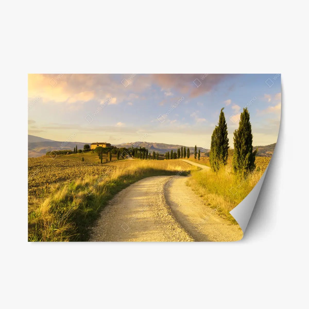 Adesivo riposizionabile strada di campagna in Toscana al tramonto • Wallissimo®