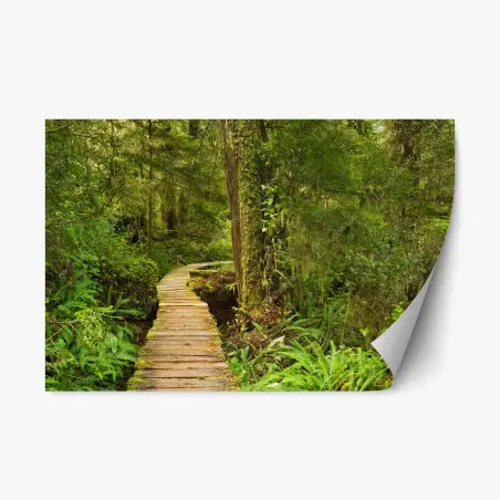 Adesivo riposizionabile sentiero nel cuore della foresta pluviale • Wallissimo®