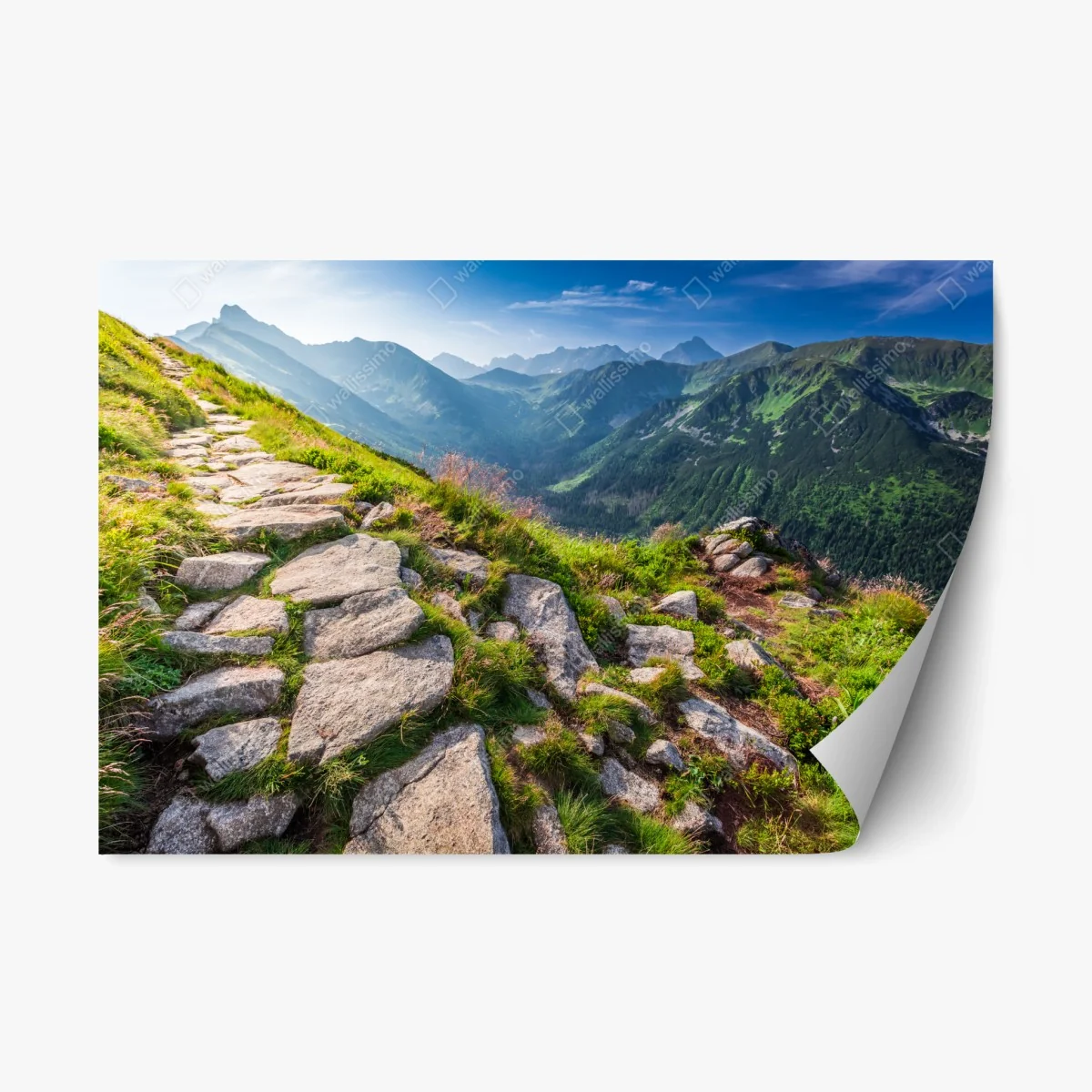 Adesivo riposizionabile alba sui Tatra: sentiero panoramico tra le cime • Wallissimo® Adesivo riposizionabile alba sui Tatra: sentiero panoramico tra le cime • Wallissimo®