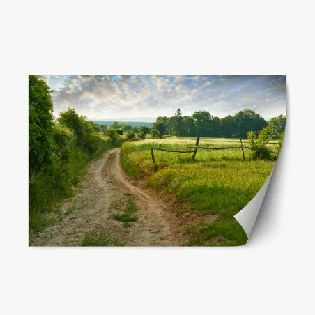 Adesivo riposizionabile sentiero di campagna nella luce dorata • Wallissimo®