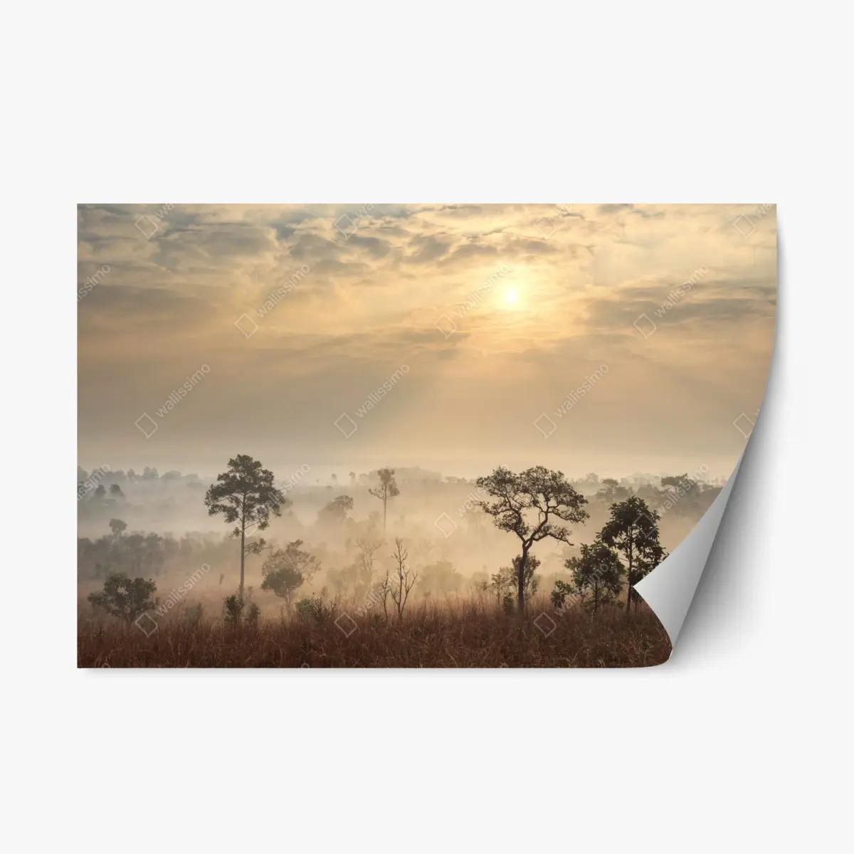 Adesivo riposizionabile alba nella savana della Thailandia • Wallissimo®