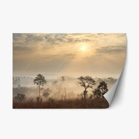 Adesivo riposizionabile alba nella savana della Thailandia • Wallissimo®