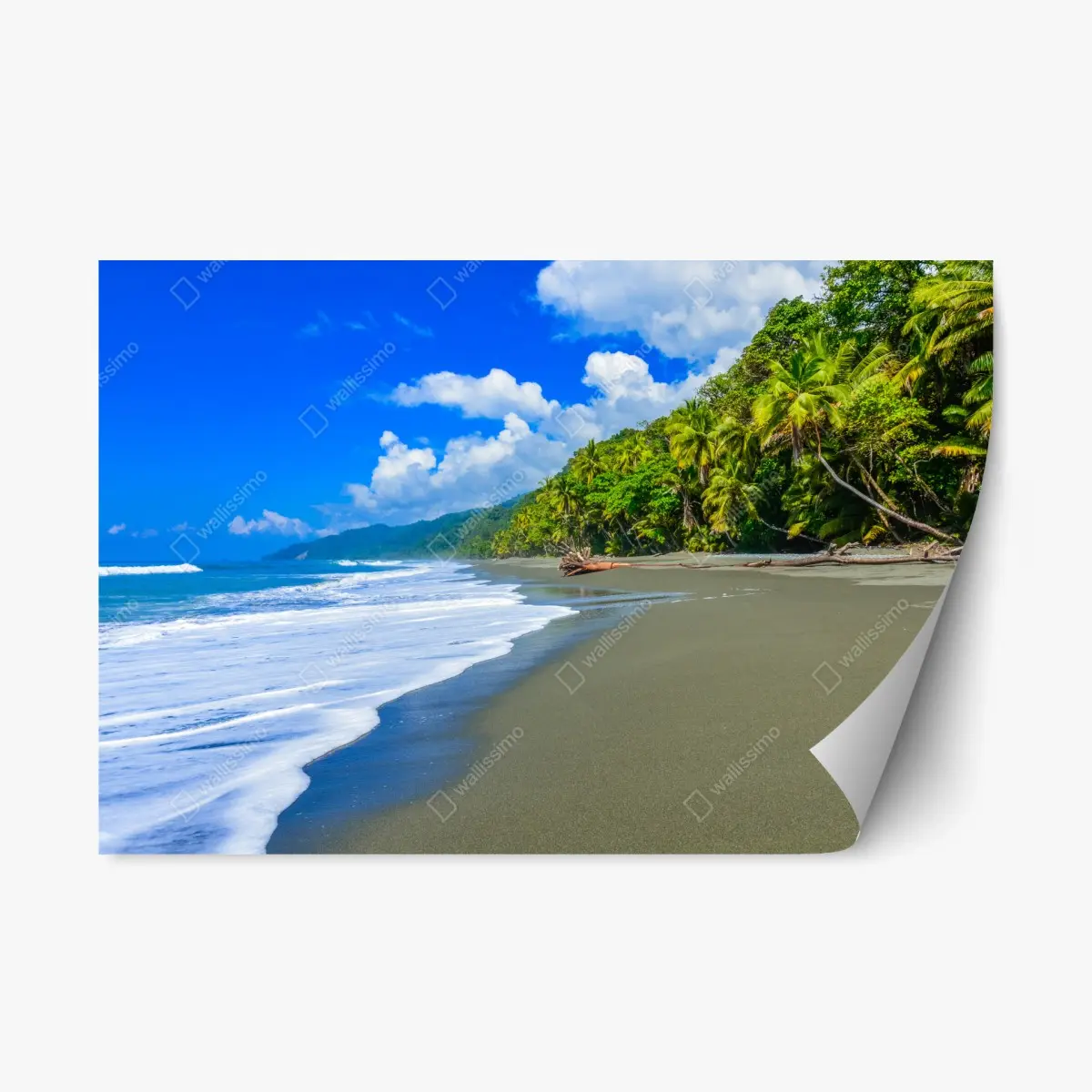 Adesivo riposizionabile spiaggia selvaggia di Corcovado, Costa Rica • Wallissimo®
