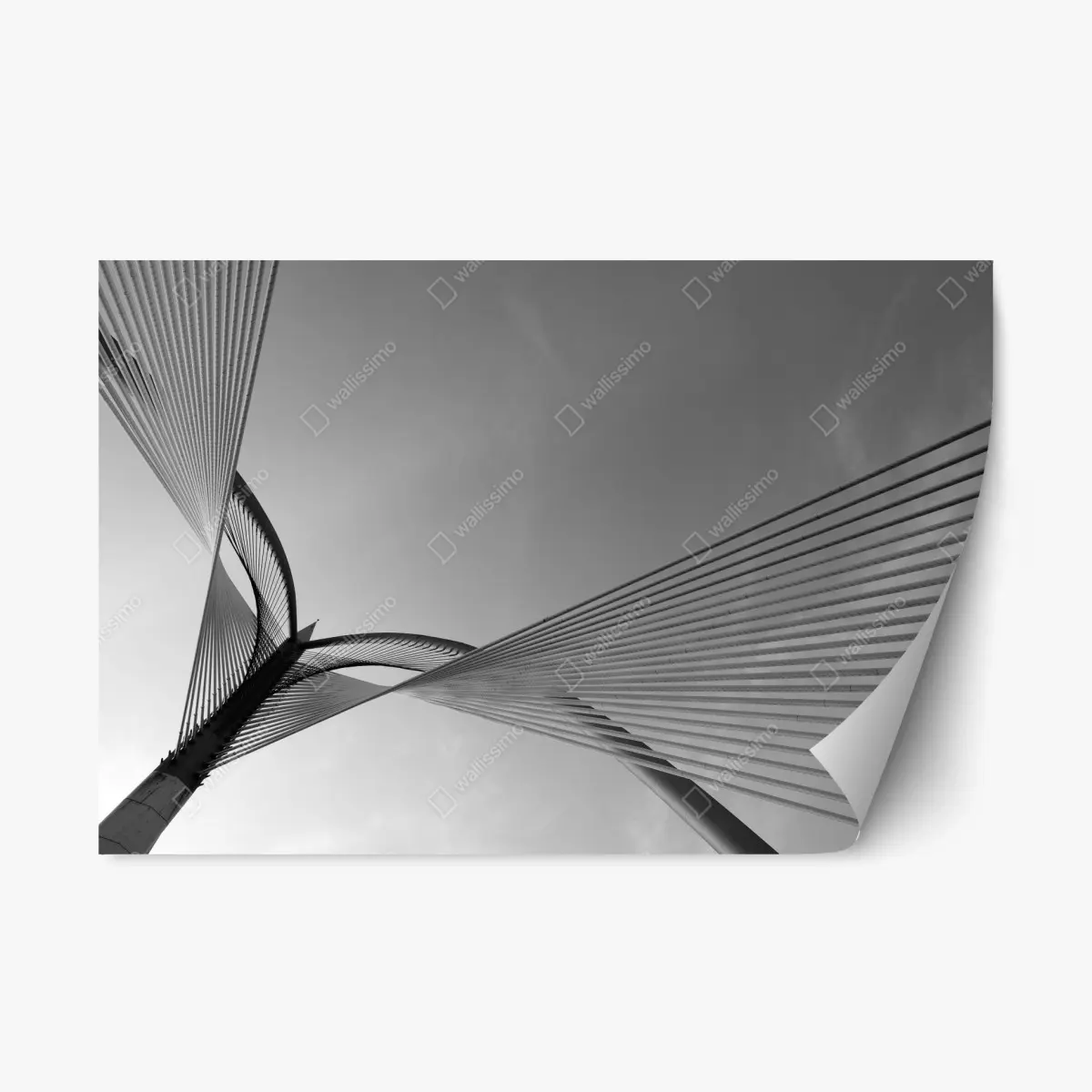 Adesivo riposizionabile linee intrecciate dell'architettura moderna • Wallissimo®