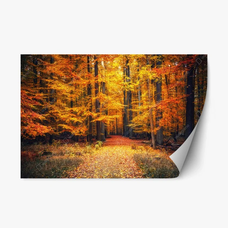 Adesivo riposizionabile sentiero nel bosco autunnale dorato