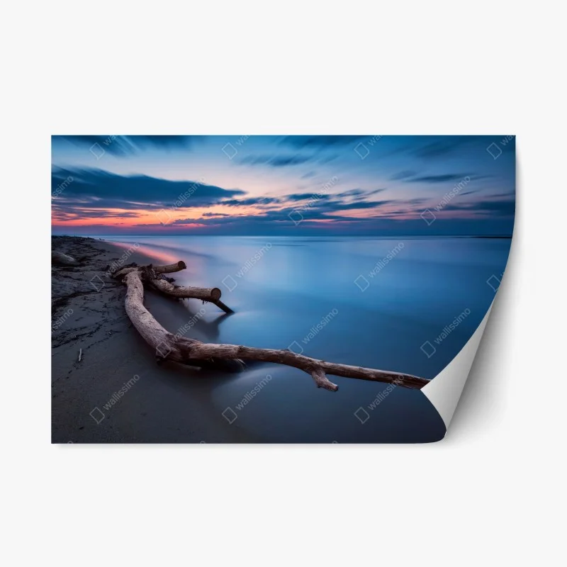 Adesivo riposizionabile tramonto sereno sulla spiaggia con tronco levigato