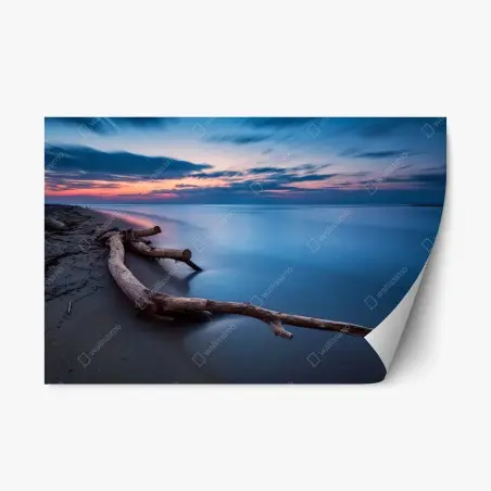 Adesivo riposizionabile tramonto sereno sulla spiaggia con tronco levigato • Wallissimo®