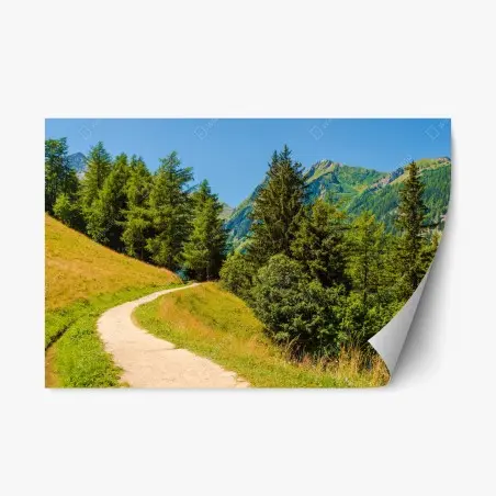 Adesivo riposizionabile sentiero estivo tra i pascoli delle Alpi Svizzere • Wallissimo®