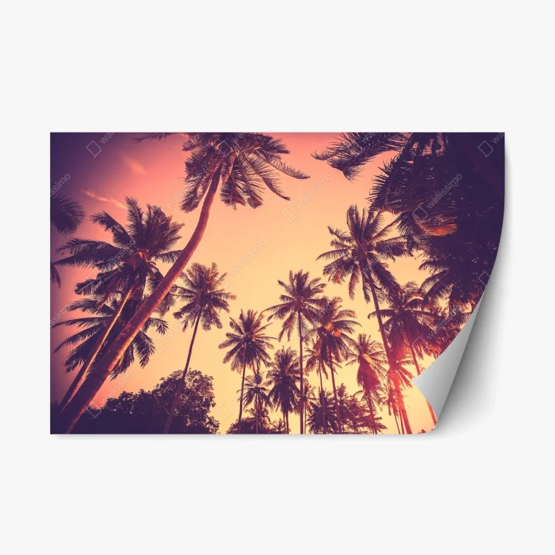 Adesivo riposizionabile tramonto tropicale tra le palme