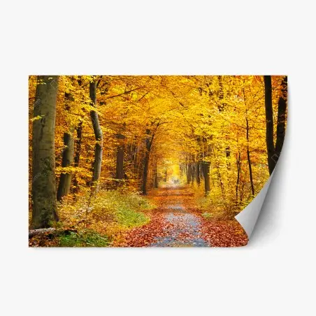 Adesivo riposizionabile sentiero autunnale tra gli alberi dorati • Wallissimo®