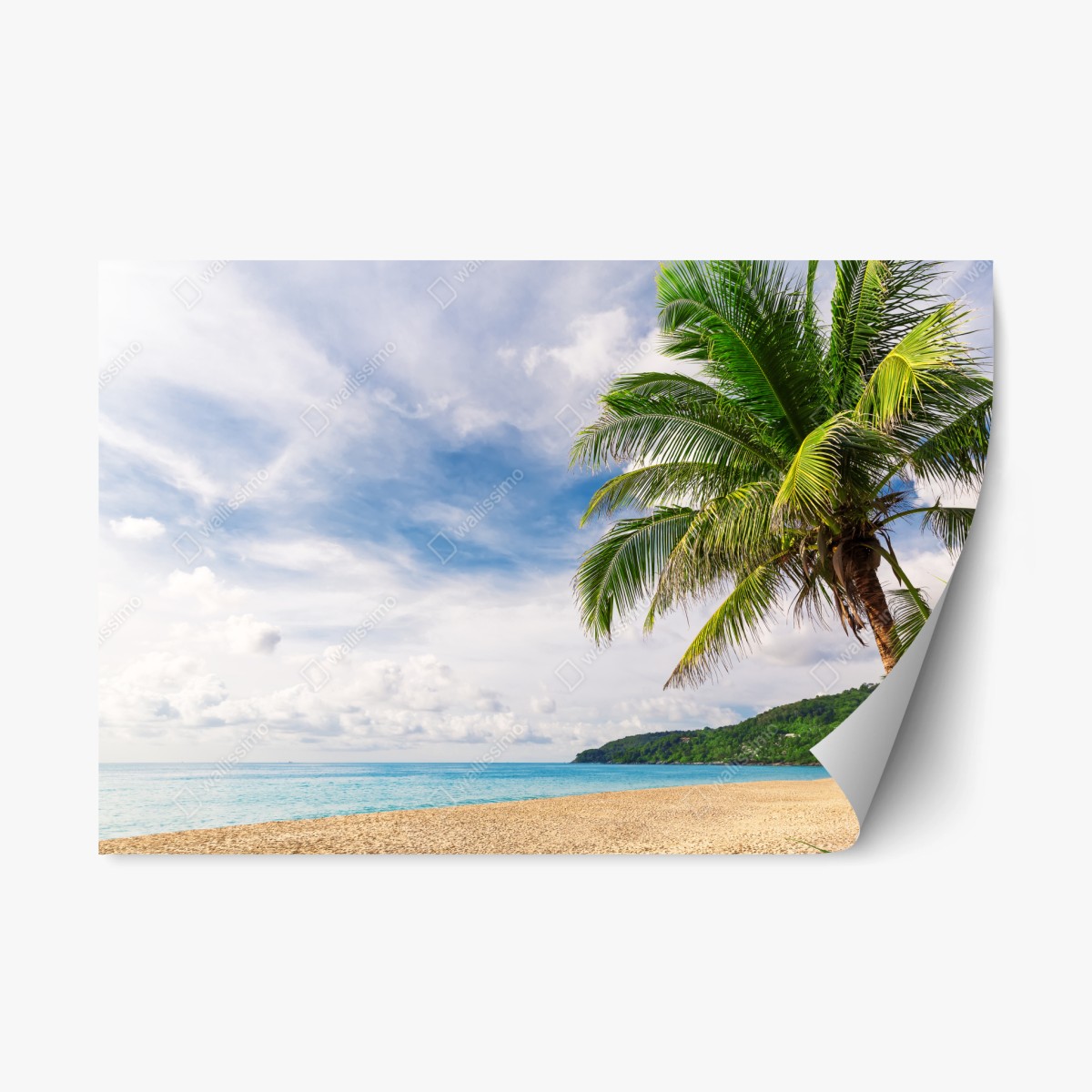 Adesivo riposizionabile paradiso tropicale a Phuket • Wallissimo®