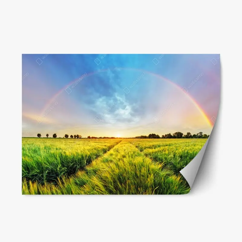 Adesivo riposizionabile campo di grano sotto un arcobaleno al tramonto