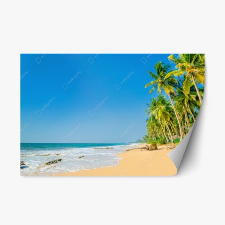 Adesivo riposizionabile paradiso di palme e mare • Wallissimo®