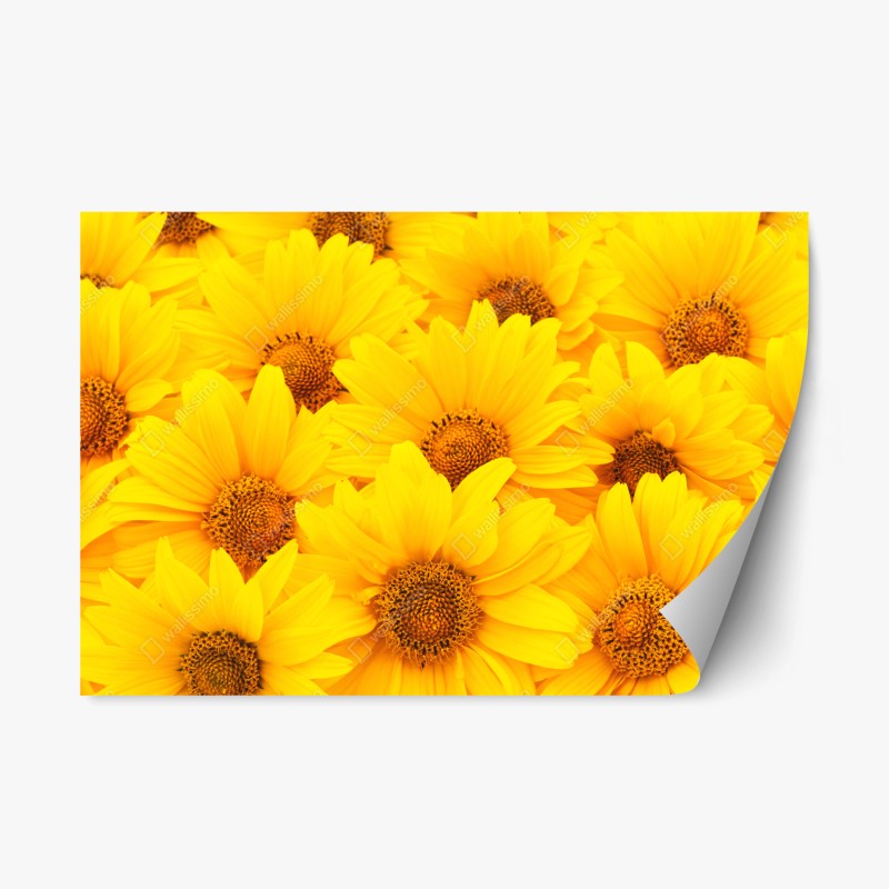 Adesivo riposizionabile esplosione di girasoli luminosi
