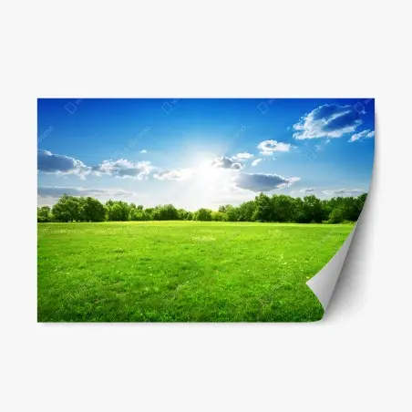 Adesivo riposizionabile prato verde sotto cielo azzurro • Wallissimo®