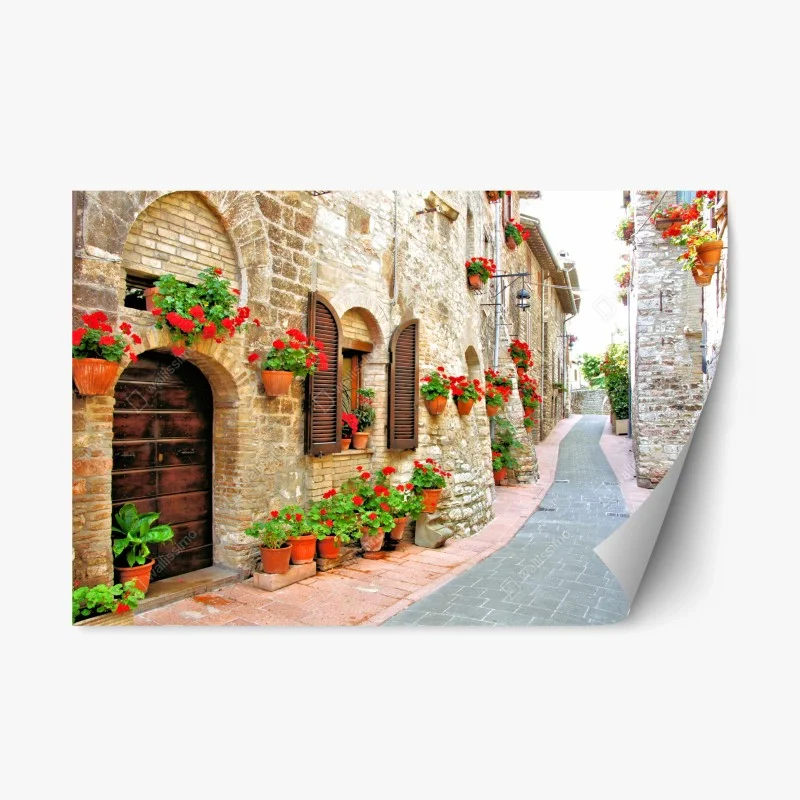 Adesivo riposizionabile vialetto fiorito nel borgo