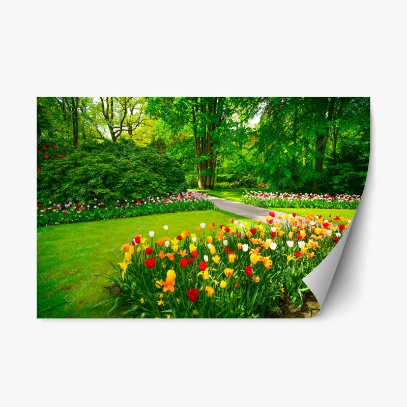 Adesivo riposizionabile paesaggio di tulipani a Keukenhof