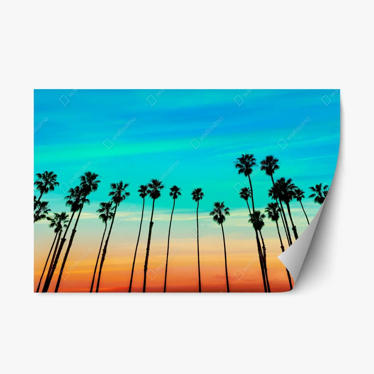 Adesivo riposizionabile tramonto a Santa Barbara con filari di palme • Wallissimo® Adesivo riposizionabile tramonto a Santa Barbara con filari di palme • Wallissimo®