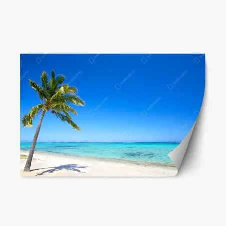 Adesivo riposizionabile oasi tropicale palma e mare turchese • Wallissimo®
