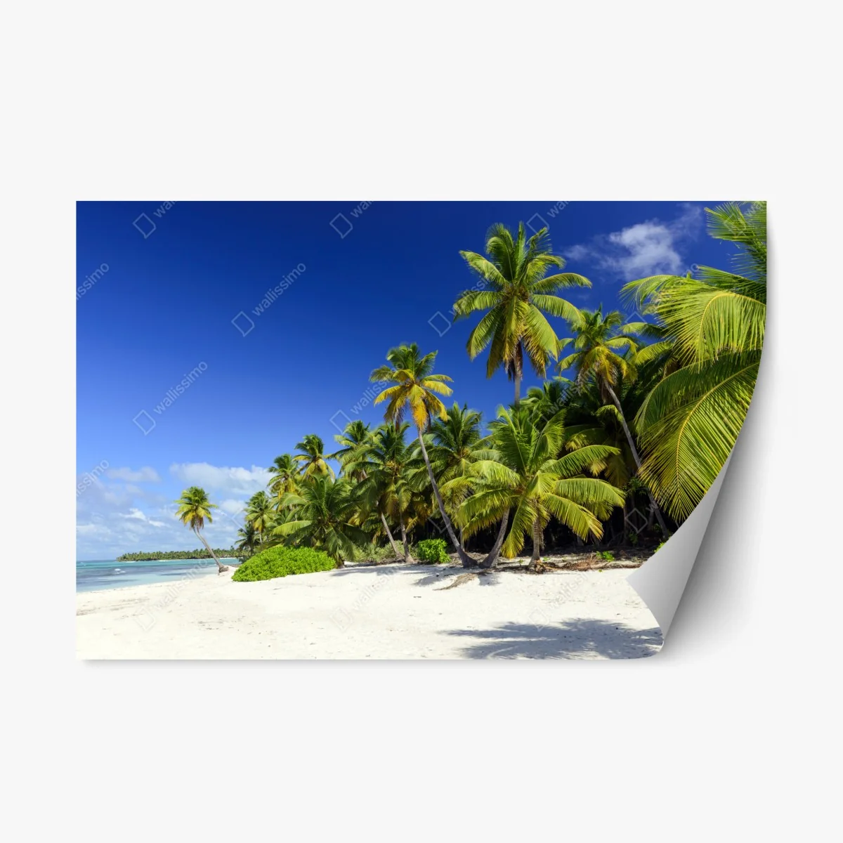 Adesivo riposizionabile spiaggia tropicale a Punta Cana • Wallissimo® Adesivo riposizionabile spiaggia tropicale a Punta Cana • Wallissimo®