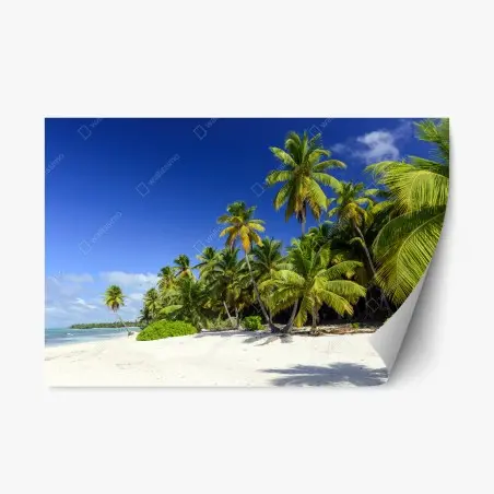 Adesivo riposizionabile spiaggia tropicale a Punta Cana • Wallissimo®
