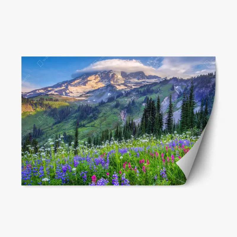 Adesivo riposizionabile prato alpino fiorito con vista sulla montagna • Wallissimo® Adesivo riposizionabile prato alpino fiorito con vista sulla montagna • Wallissimo®
