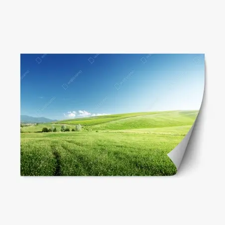 Adesivo riposizionabile colline verdi e cielo sereno • Wallissimo®