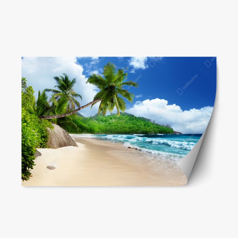 Adesivo riposizionabile paradiso tropicale a Mahe, Seychelles