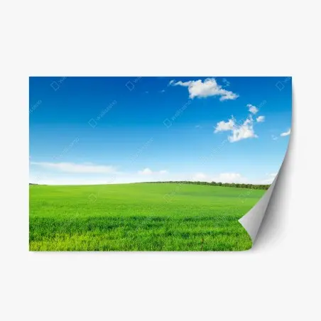 Adesivo riposizionabile prato verde sotto un cielo azzurro • Wallissimo®