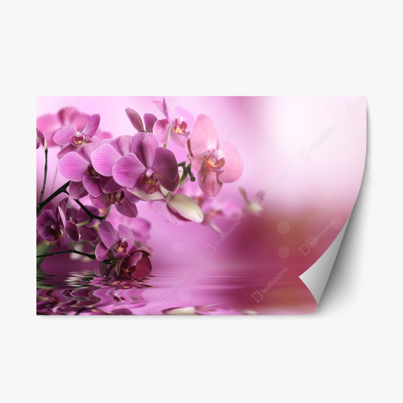 Adesivo riposizionabile orchidee rosa con riflesso sull'acqua