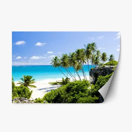Adesivo riposizionabile oasi tropicale a Bottom Bay, Barbados • Wallissimo®