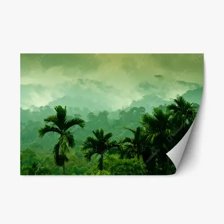 Adesivo riposizionabile foresta tropicale nella nebbia • Wallissimo®